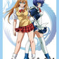 "Shin Ikki Tousen" Bushiroad High-grade Sleeve Collections