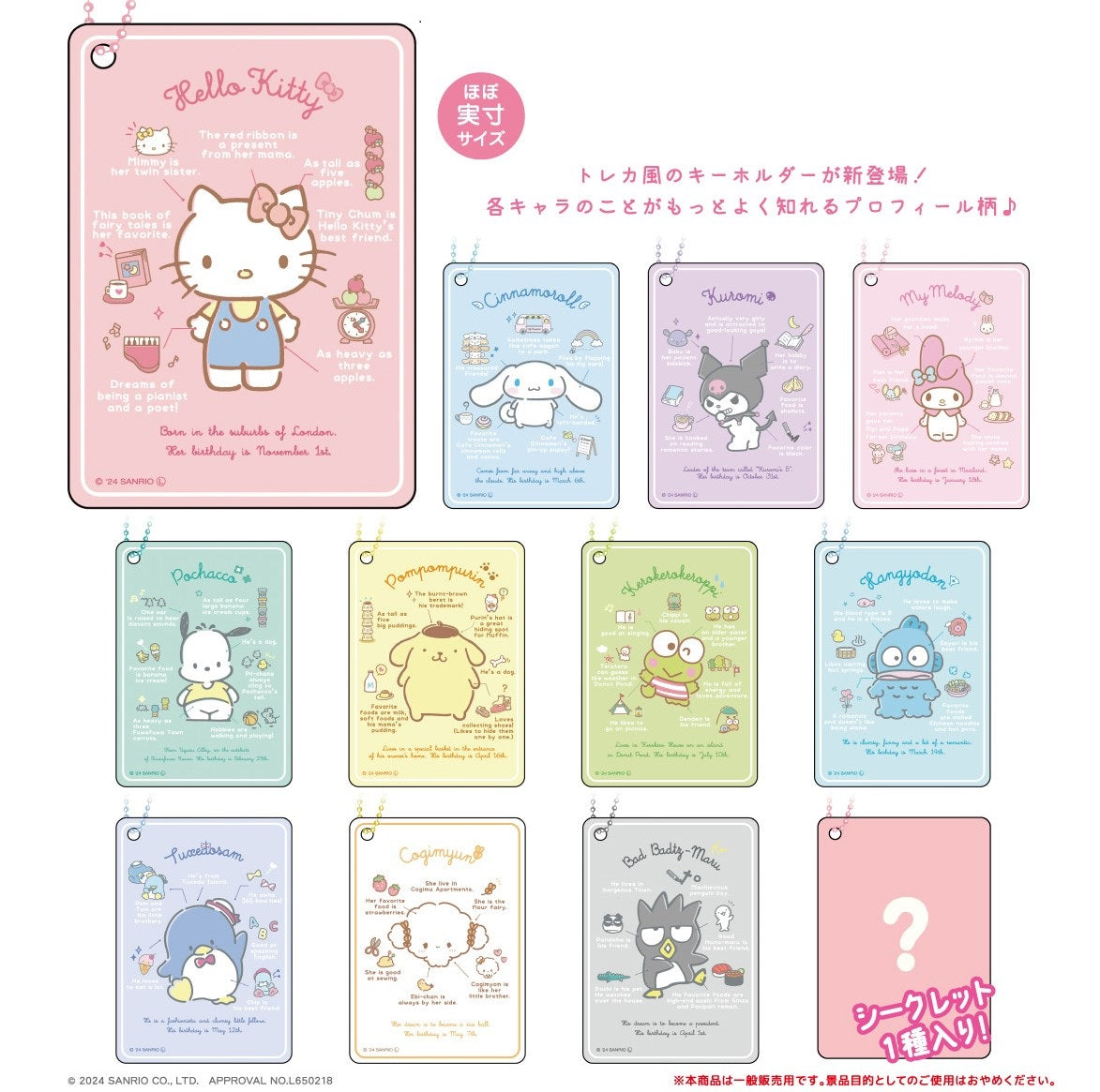 Sanrio Characters Secret Clear Card Key Chain Profile