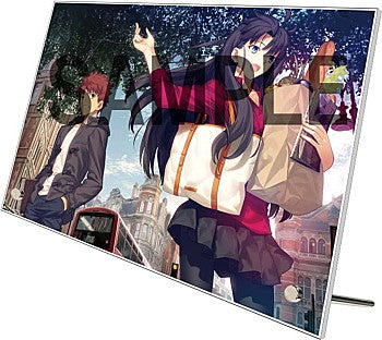 TYPE-MOON Ace Takashi Takeuchi Cover Illustration Acrylic Art Board