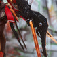 HOWLING STAR C.C.CHALCOSOMA 1/7 SCALE FIGURE