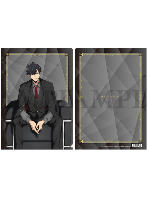 "Solo Leveling" Clear File Folders